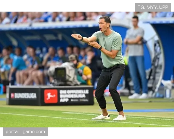 通讯：一位中国赞助商代表的德甲之旅——如何评估在德国足球场边广告的投放效果